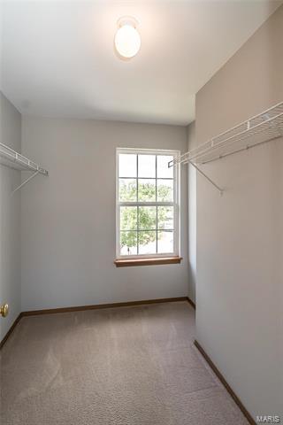 43 Spring Borough Ct, O'fallon, MO 63368 photo 14
