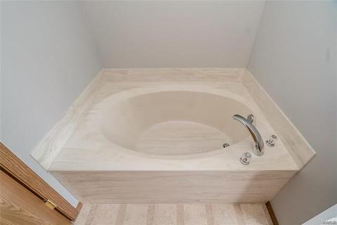 43 Spring Borough Ct, O'fallon, MO 63368 photo 17