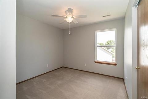 43 Spring Borough Ct, O'fallon, MO 63368 photo 19