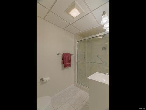 2 Sugar Hill Ct, Manchester, MO 63021 photo 35