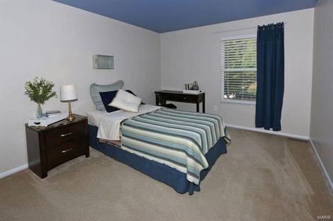 17126 Elm Trail Dr, Eureka, MO 63025 photo 26