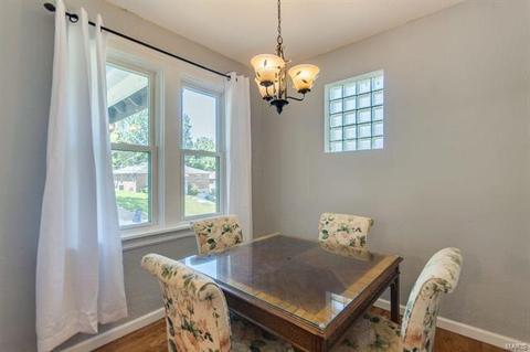 331 Eldridge Ave, Saint Louis, MO 63119 photo 8