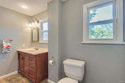 331 Eldridge Ave, Saint Louis, MO 63119 photo 28