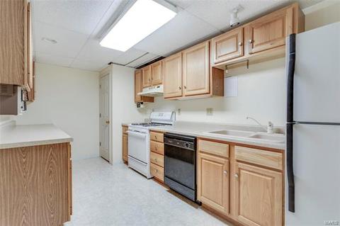 1087 Johanna Dr, Ballwin, MO 63021 photo 25