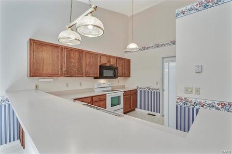 1087 Johanna Dr, Ballwin, MO 63021 photo 9
