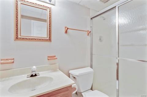 1087 Johanna Dr, Ballwin, MO 63021 photo 27