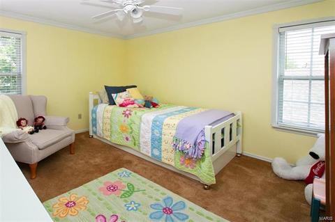 311 Fox Briar Ln, Ballwin, MO 63021 photo 16