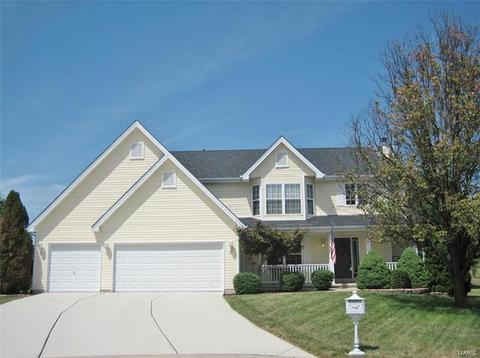 29 Dalton Valley Dr, Saint Peters, MO 63376 photo 59