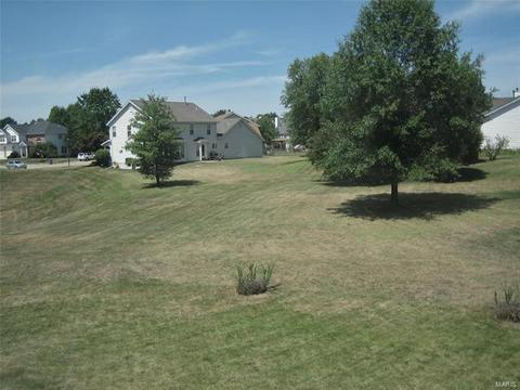 29 Dalton Valley Dr, Saint Peters, MO 63376 photo 41