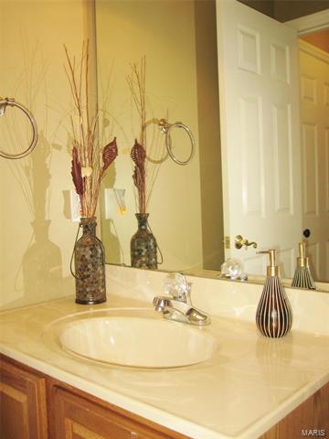 29 Dalton Valley Dr, Saint Peters, MO 63376 photo 48