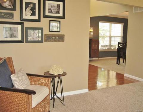 29 Dalton Valley Dr, Saint Peters, MO 63376 photo 18