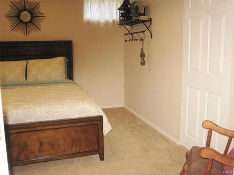 29 Dalton Valley Dr, Saint Peters, MO 63376 photo 53