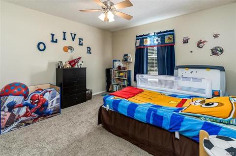 34 Dunmore Cir, O'fallon, MO 63368 photo 17