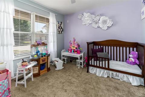 34 Dunmore Cir, O'fallon, MO 63368 photo 19