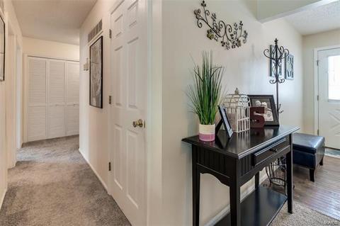 34 Dunmore Cir, O'fallon, MO 63368 photo 12
