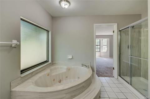 973 Hanna Valley Estates Dr, Manchester, MO 63021 photo 19
