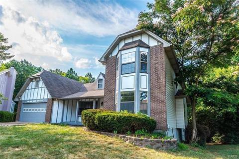 973 Hanna Valley Estates Dr, Manchester, MO 63021 photo 49