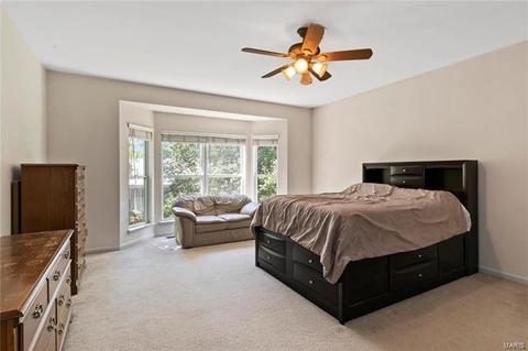 15 Remington Pl, Ballwin, MO 63021 photo 18