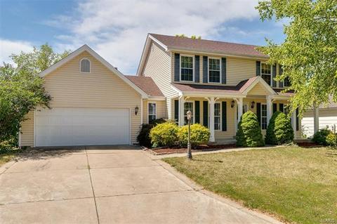 7314 Nelsons Mill Dr, O'fallon, MO 63368 photo 1