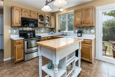 7314 Nelsons Mill Dr, O'fallon, MO 63368 photo 13
