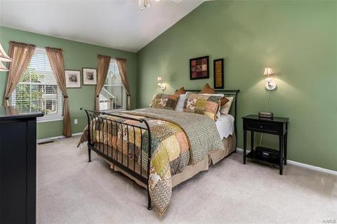 7314 Nelsons Mill Dr, O'fallon, MO 63368 photo 14