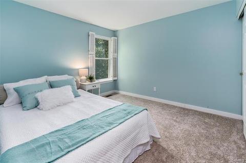 7314 Nelsons Mill Dr, O'fallon, MO 63368 photo 17