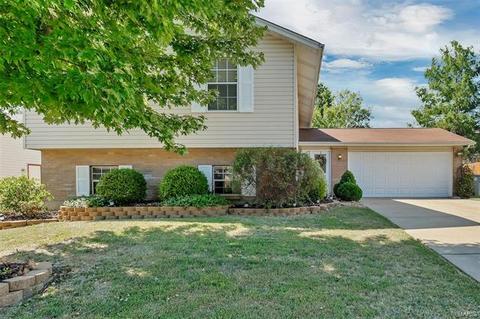444 Tailor Ln, O'fallon, MO 63368 photo 1