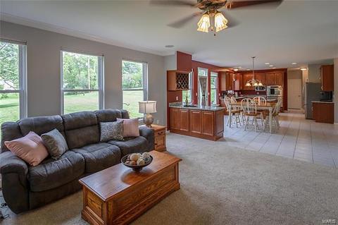 519 Joyce Ann Dr, Manchester, MO 63021 photo 10