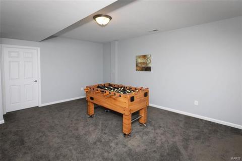 519 Joyce Ann Dr, Manchester, MO 63021 photo 27