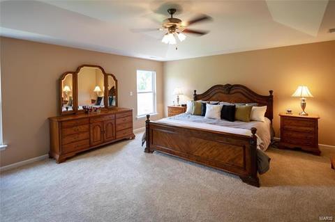 519 Joyce Ann Dr, Manchester, MO 63021 photo 15