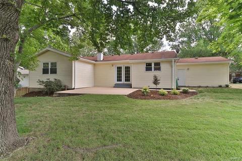 15435 Eaglepass, Chesterfield, MO 63017 photo 38