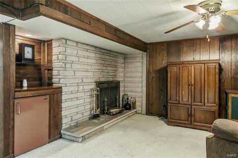 7427 Sharp Ave, Saint Louis, MO 63116 photo 24