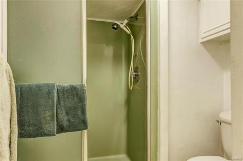 7427 Sharp Ave, Saint Louis, MO 63116 photo 28