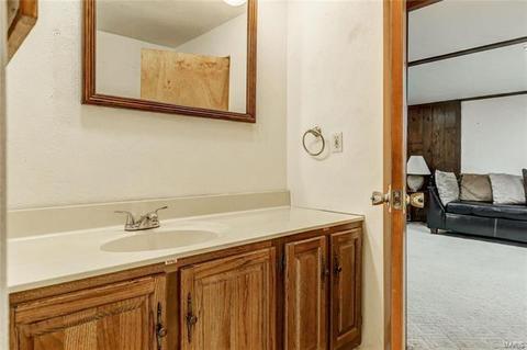 7427 Sharp Ave, Saint Louis, MO 63116 photo 27