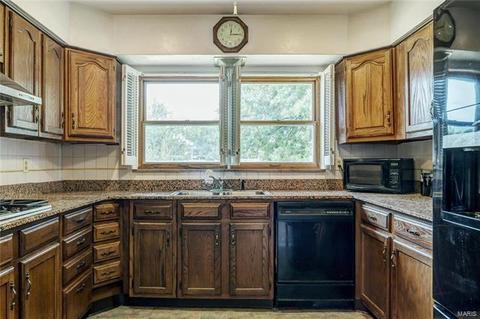 7427 Sharp Ave, Saint Louis, MO 63116 photo 9