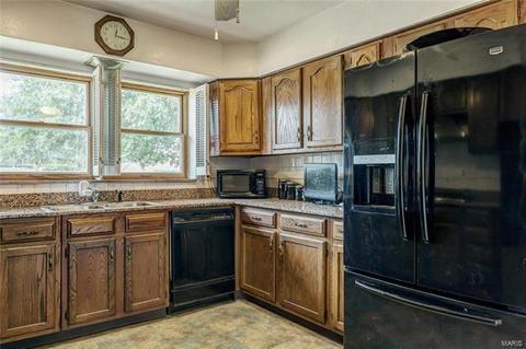 7427 Sharp Ave, Saint Louis, MO 63116 photo 11