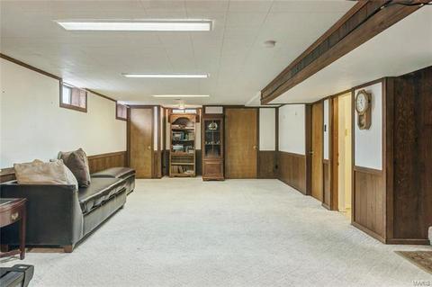 7427 Sharp Ave, Saint Louis, MO 63116 photo 25