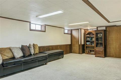 7427 Sharp Ave, Saint Louis, MO 63116 photo 26