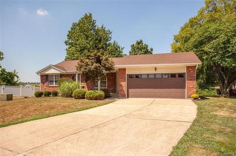 4 Dax Ct, Bridgeton, MO 63044 photo 3