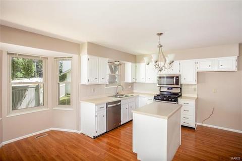 4 Dax Ct, Bridgeton, MO 63044 photo 7
