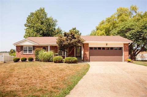 4 Dax Ct, Bridgeton, MO 63044 photo 2
