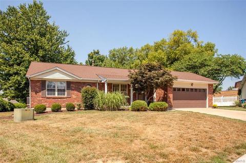 4 Dax Ct, Bridgeton, MO 63044 photo 1