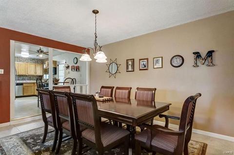 251 E Skyline Dr, Ballwin, MO 63011 photo 6