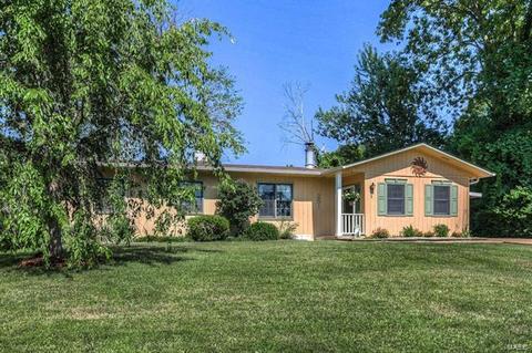 251 E Skyline Dr, Ballwin, MO 63011 photo 1