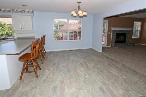44 Meadow Spg, Saint Charles, MO 63303 photo 12