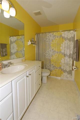 44 Meadow Spg, Saint Charles, MO 63303 photo 22