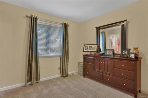 413 Genoa, Manchester, MO 63021 photo 38
