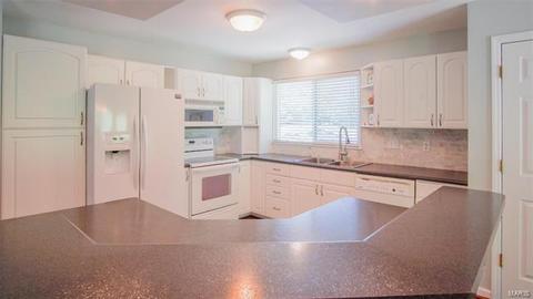 9 Rainfield Ct, Ballwin, MO 63021 photo 10