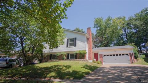 9 Rainfield Ct, Ballwin, MO 63021 photo 1