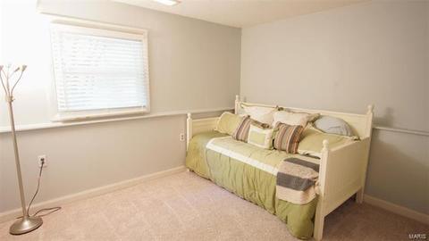 9 Rainfield Ct, Ballwin, MO 63021 photo 26
